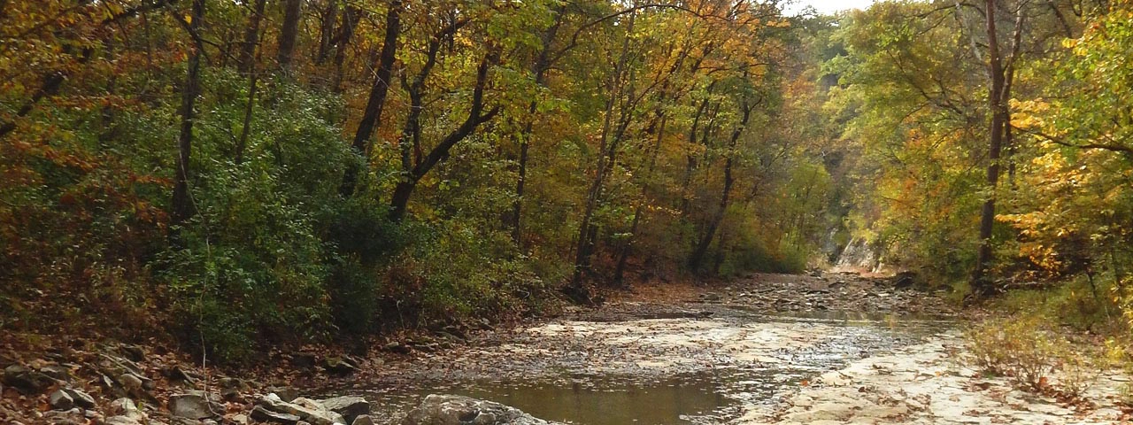 Bass Creek