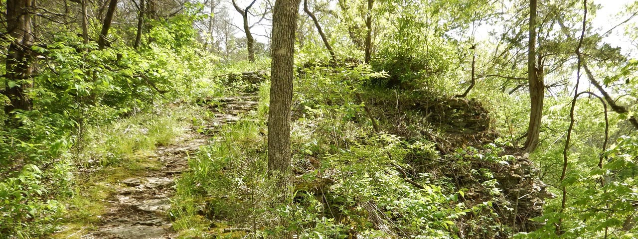 Three Creeks