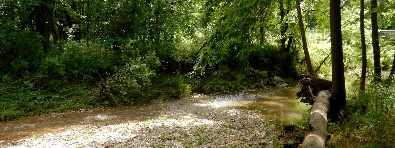 Gans Creek