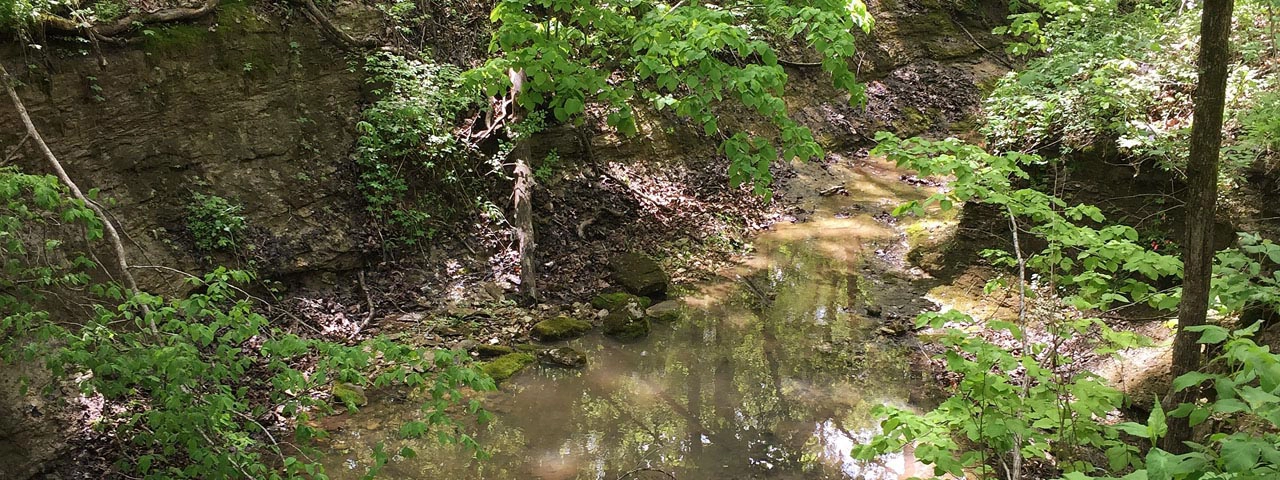 Gans Creek