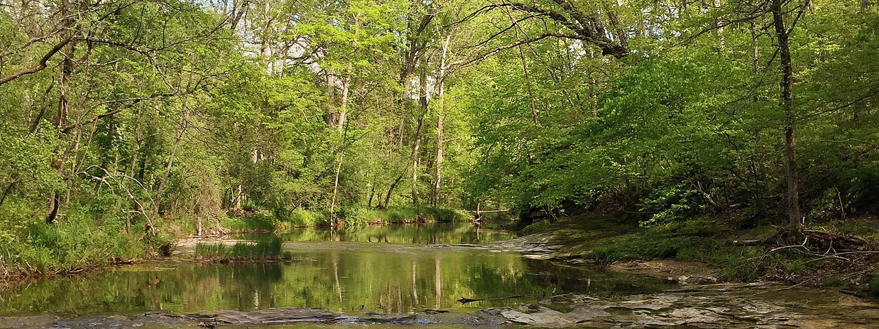 Gans Creek