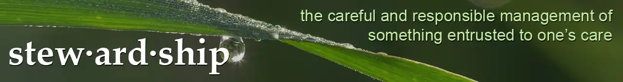 Stewardship: A the careful and responsible management of something entrusted to one's care.